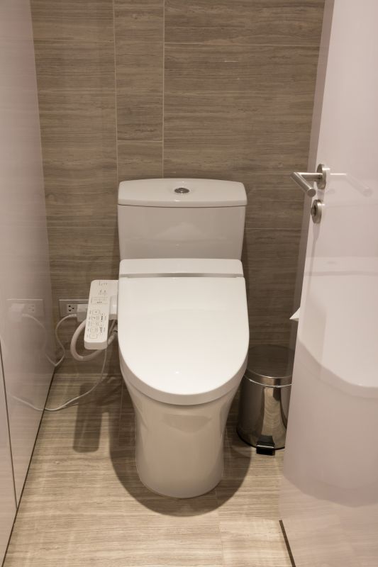 Smart Toilet Features