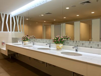 Elegant Vanity Lighting