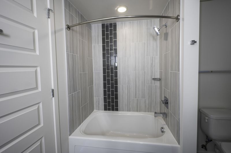Contemporary Tub and Shower Combo